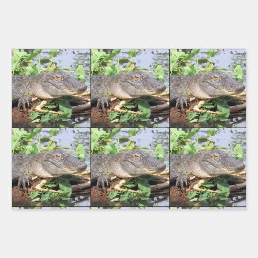 Lächelnde Gator Wrapping Paper Sheets Geschenkpapier Set (Vorderseite 2)