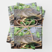 Lächelnde Gator Wrapping Paper Sheets Geschenkpapier Set (Beispiel)