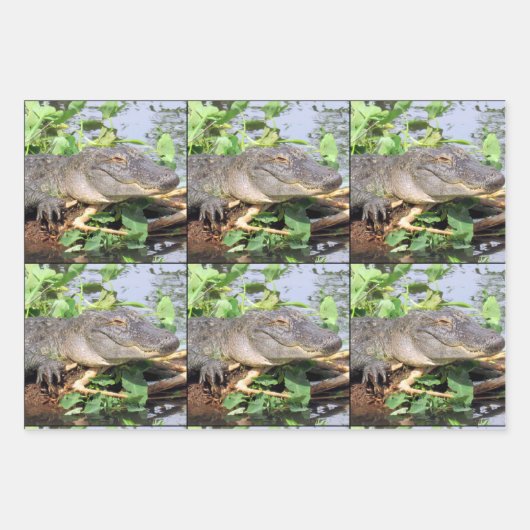 Lächelnde Gator Wrapping Paper Sheets Geschenkpapier Set (Vorderseite 3)