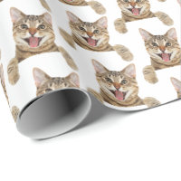 Lächelnde Katze auf Weiß