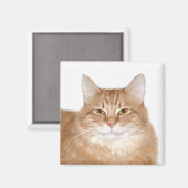 Lächelnde Katze Magnet (Vorderseite/Rückseite)