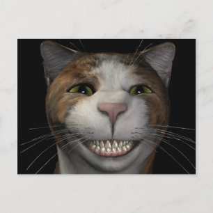 Lächelnde Katze Postkarte