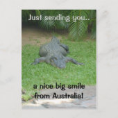 Lächelnde Krokodile Postkarte (Vorderseite)