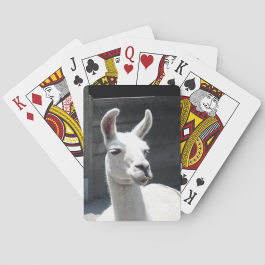 Lächelnde Lama-Spielkarten Spielkarten (Rückseite)