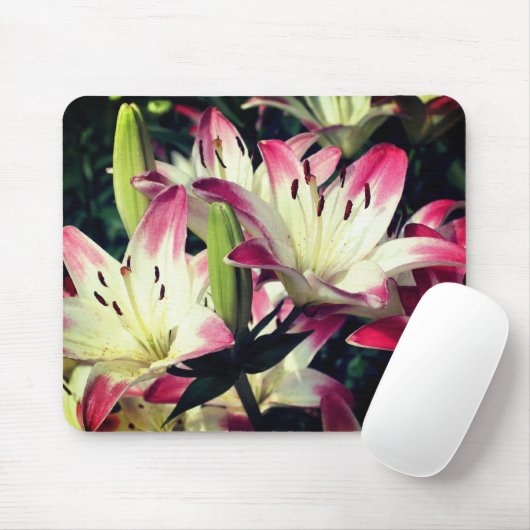 Lächelnde Lily-Blume Mousepad (Mit Mouse)