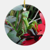 Lächelnde Mantis ~ Verzierung Keramik Ornament (Hinten)