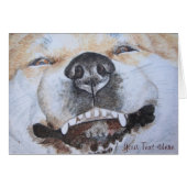 Lächelnde niedliche Akita (Vorderseite (Horizontal))