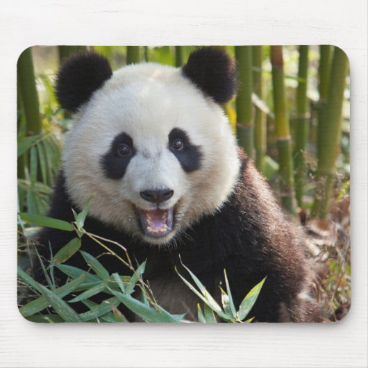 Lächelnde Panda-Porträt Mousepad (Vorne)