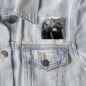 Lächelnde Pferde Getty Bild-| Button (Beispiel)