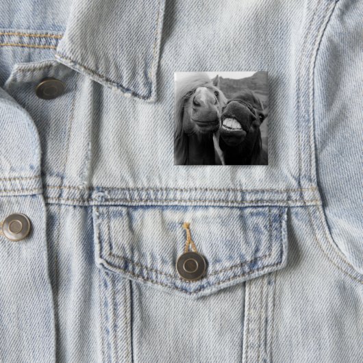 Lächelnde Pferde Getty Bild-| Button (Beispiel)