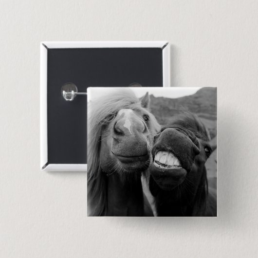 Lächelnde Pferde Getty Bild-| Button (Vorne & Hinten)