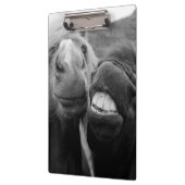 Lächelnde Pferde Getty Bild-| Klemmbrett (Links)