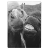 Lächelnde Pferde Getty Bild-| Klemmbrett (Rückseite)