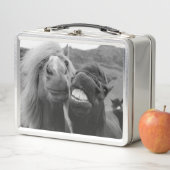 Lächelnde Pferde Getty Bild-| Metall Lunch Box (Beispiel)