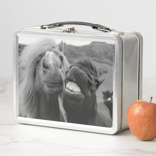 Lächelnde Pferde Getty Bild-| Metall Lunch Box (Beispiel)