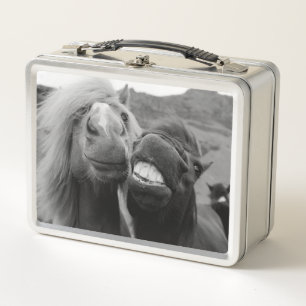 Lächelnde Pferde Getty Bild-  Metall Lunch Box