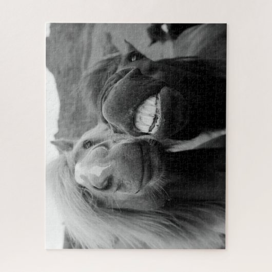 Lächelnde Pferde Getty Bild-| Puzzle (Vertikal)