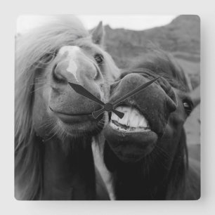 Lächelnde Pferde Getty Bild-  Quadratische Wanduhr