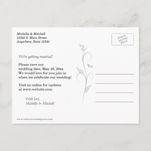 Lächelnde Pferde Save the Date Postkarten (Rückseite)