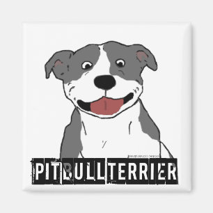 Lächelnde Pitbull (Blau- und Weißzuchtname) Magnet