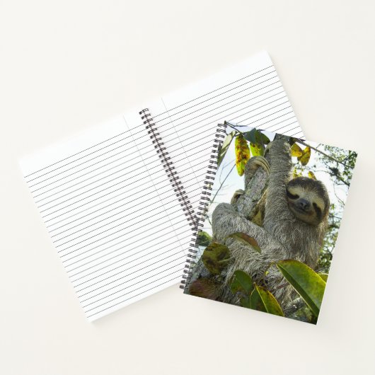Lächelnde Sloth 8.5" x 11" Spiral Notebook Notizblock (Innenseite)