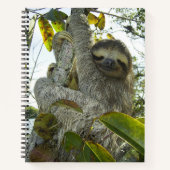 Lächelnde Sloth 8.5" x 11" Spiral Notebook Notizblock (Vorderseite)