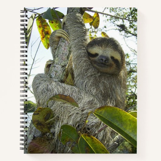 Lächelnde Sloth 8.5" x 11" Spiral Notebook Notizblock (Vorderseite)