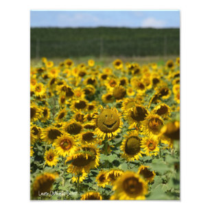 Lächelnde Sonnenblume - 11x14 Foto Drucken