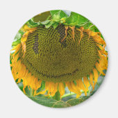 Lächelnde Sonnenblume Magnet (Vorne)