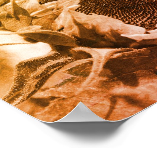 Lächelnde Sonnenblume schwarz und weiß gestört Poster (Ecke)