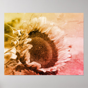 Lächelnde Sonnenblume Schwarz-Weiß-Distressed Poster