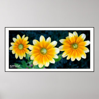 Lächelnde Sonnenblumen Poster