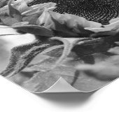 Lächelnde Sonnenblumen Schwarz-weiß drucken Poster (Ecke)