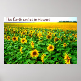 Lächelnde Sonnenblumen von TDGallery Poster
