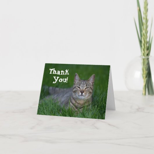 Lächelnde Tabby-Katze danken Ihnen Dankeskarte (Vorderseite)