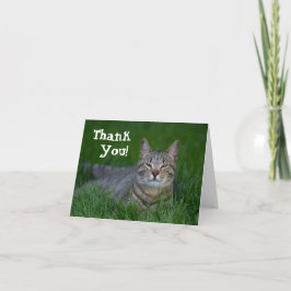 Lächelnde Tabby-Katze danken Ihnen Dankeskarte