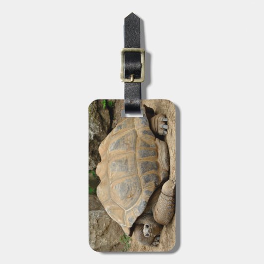 Lächelnde Tortoise Gepäckanhänger (Vorderseite vertikal)