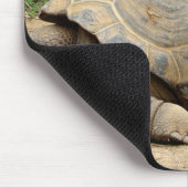 Lächelnde Tortoise Mousepad (Ecke)