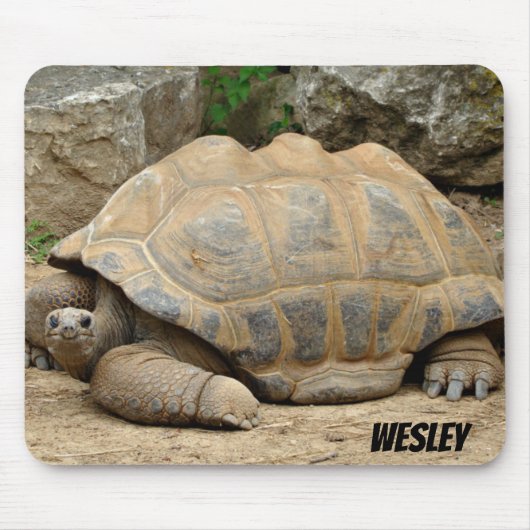 Lächelnde Tortoise Mousepad (Vorne)