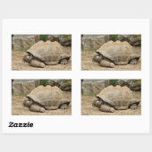 Lächelnde Tortoise Rechteckiger Aufkleber (Blatt)
