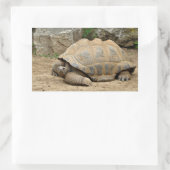 Lächelnde Tortoise Rechteckiger Aufkleber (Tasche)