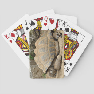 Lächelnde Tortoise  Spielkarten
