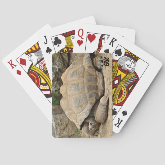 Lächelnde Tortoise Spielkarten (Rückseite)