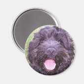 Lächelnde Welpe Magnet (Vorderseite/Rückseite)