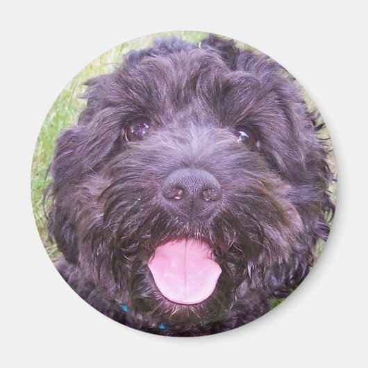 Lächelnde Welpe Magnet (Vorne)