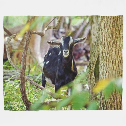 lächelnde Ziege Fleecedecke (Vorderseite (Horizontal))