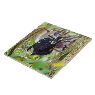 lächelnde Ziege Fliese