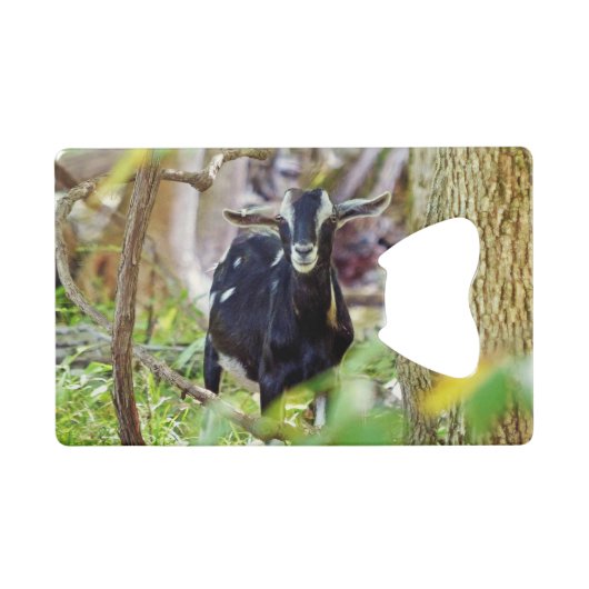 lächelnde Ziege Geldbeutel Flaschenöffner (Vorderseite (Horizontal))