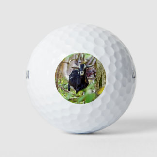 lächelnde Ziege Golfball
