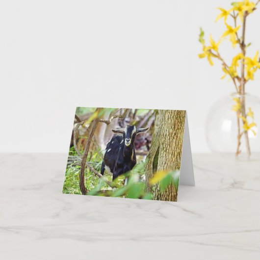 lächelnde Ziege Karte (Gelbe Blume)